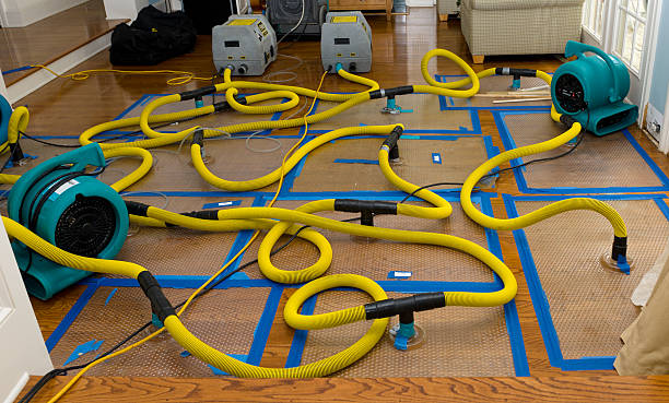 Professional Sewage Cleanup technician working in Somerville, MA